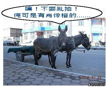 【2010神州之旅  】  北極村    TO   廈門