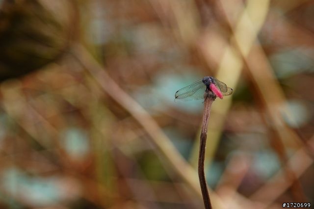 NIKON 24-120 mm F/4G VR N 開箱