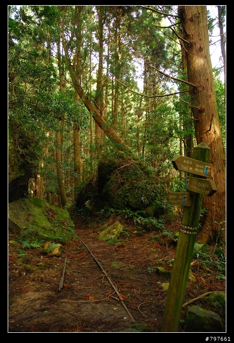南庄-鹿場部落-加里山