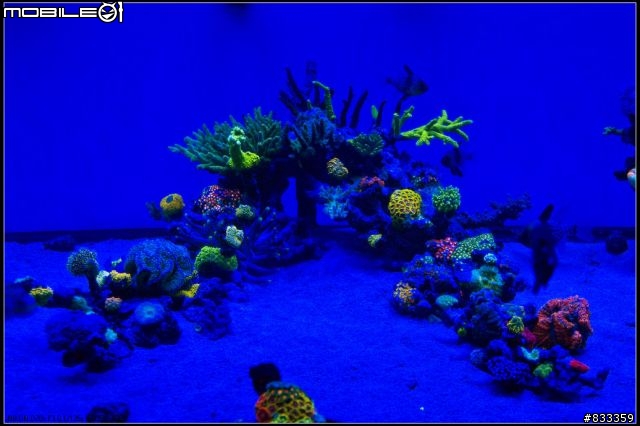 海水世界