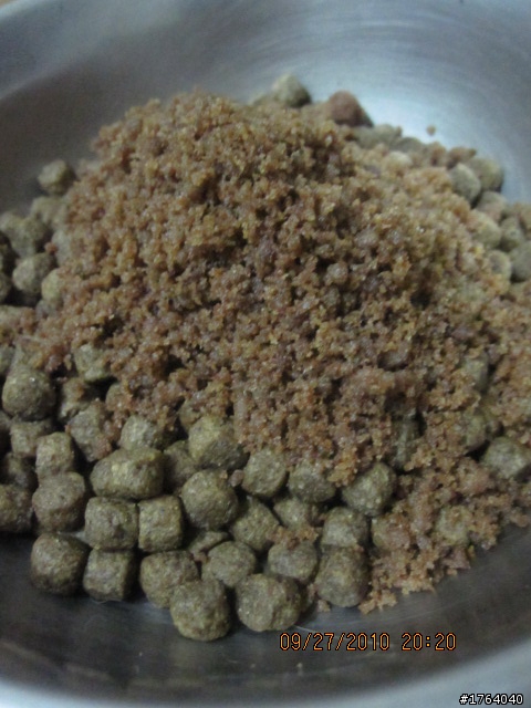 分享：小朋友的國慶大餐