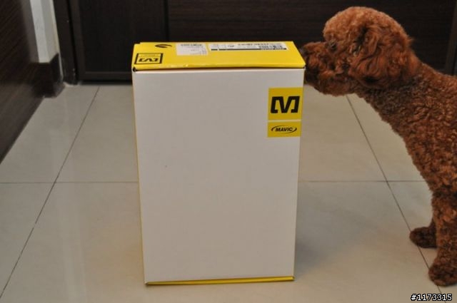 [開箱](10/14更新) 2011 GIANT ADVANCED SL RABOBANK ISP