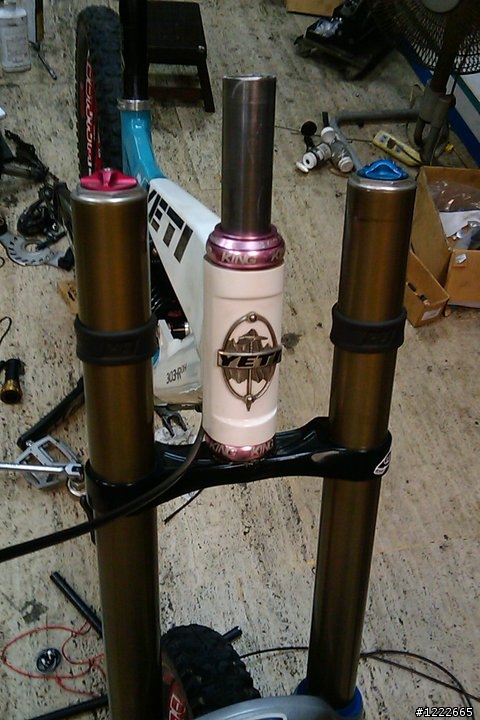 （分享）Yeti 303 R DH