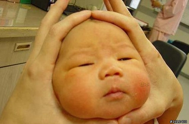 覺得哪一張照片比較有趣!