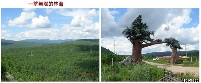 【2010神州之旅  】  北極村    TO   廈門
