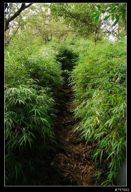 南庄-鹿場部落-加里山