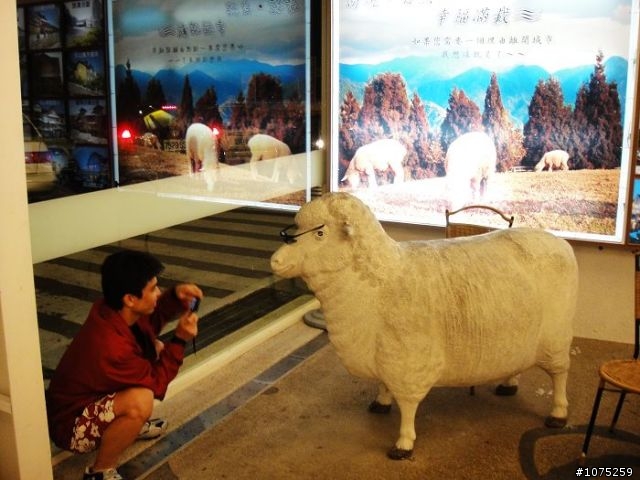 (照片)20101016,17公路之巔挑戰行Day-1