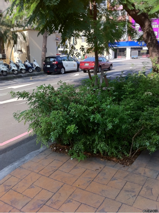 胡市長，請進來看一下台中市的路霸。