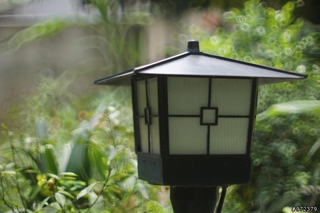 sony a33+Minolta超老鏡頭