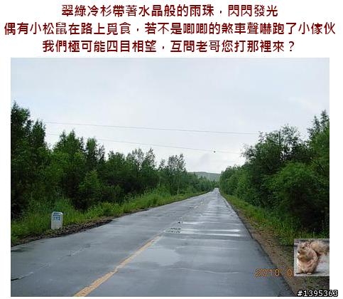 【2010神州之旅  】  北極村    TO   廈門