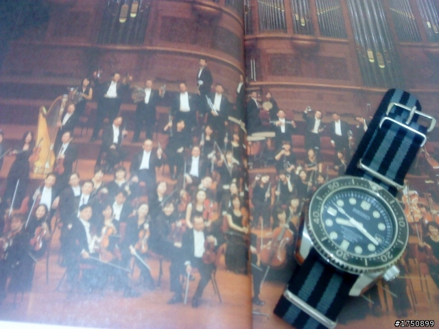 [蘇媽分享] SEIKO PROSPEX海洋大師8L35專業300米潛水機械錶 SBDX001