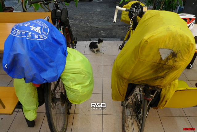 這是一趟計畫周密，卻又變化連連的單車環島旅行！總里程1120 km…[驛站台灣]Day6-慢步南半島
