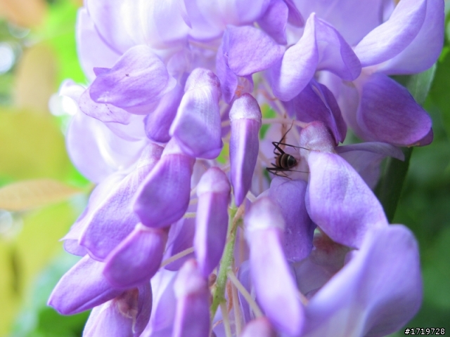 新手拍攝 參考參考