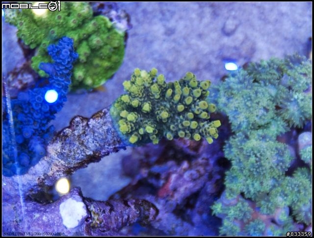 海水世界