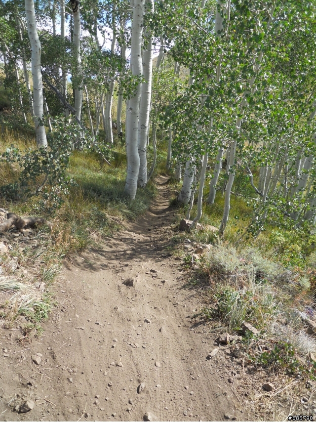 [分享] DH @ Dear valley, Utah、Bootleg canyon, Vegas & Canfieldbrothers
