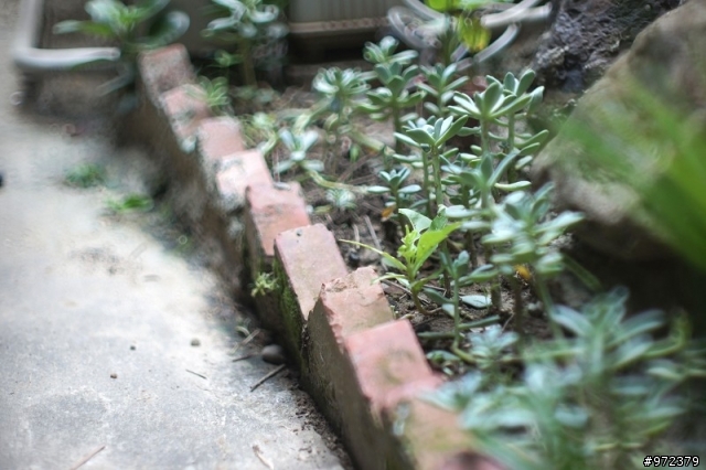 sony a33+Minolta超老鏡頭