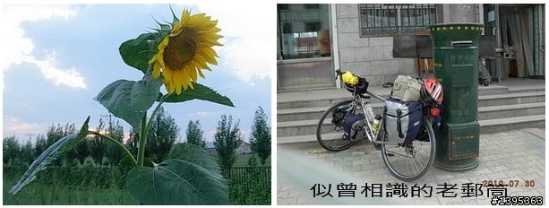 【2010神州之旅  】  北極村    TO   廈門