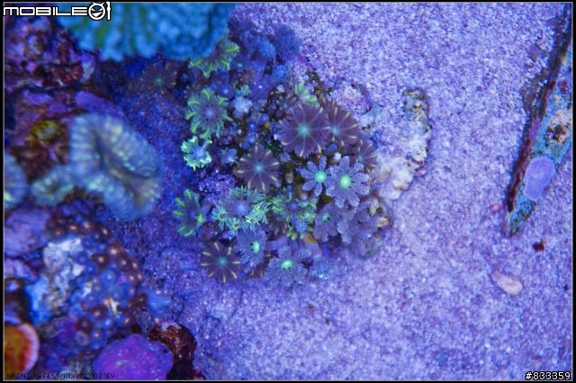 海水世界