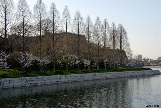 2010．關西．花見