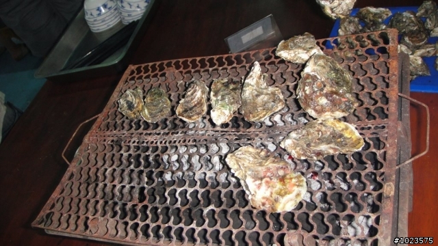 山土匪飄洋過海去澎湖~甫甫遊記