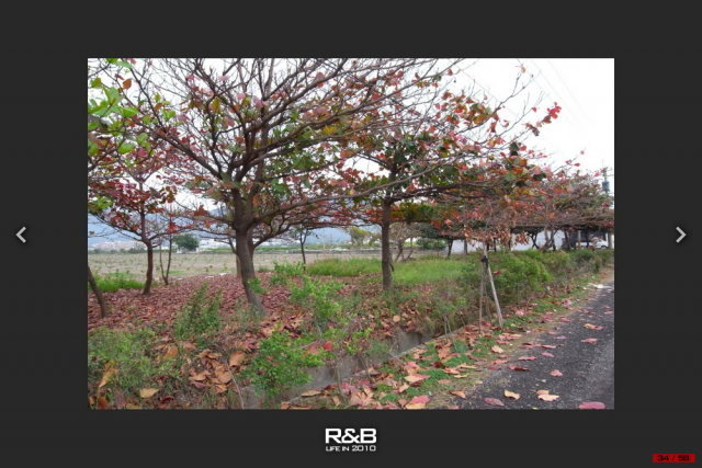 這是一趟計畫周密，卻又變化連連的單車環島旅行！總里程1120 km…[驛站台灣]Day6-慢步南半島
