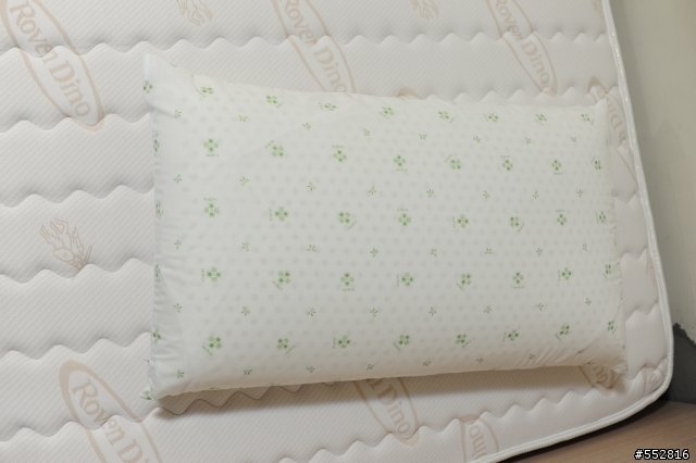 [分享]第一張天然乳膠床購買經驗