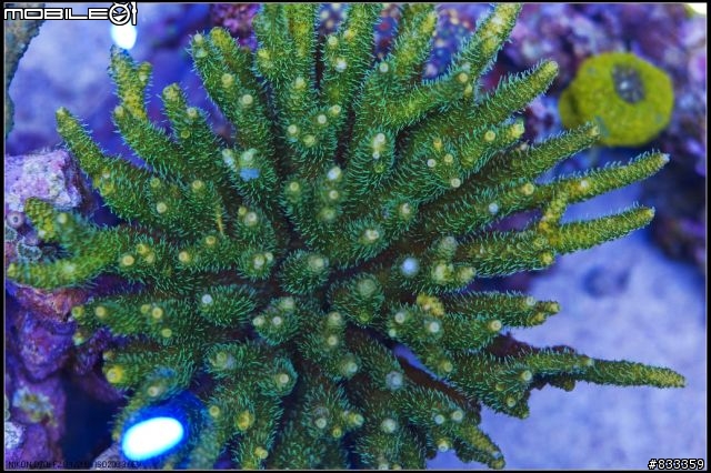 海水世界