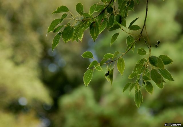 NIKON 24-120 mm F/4G VR N 開箱