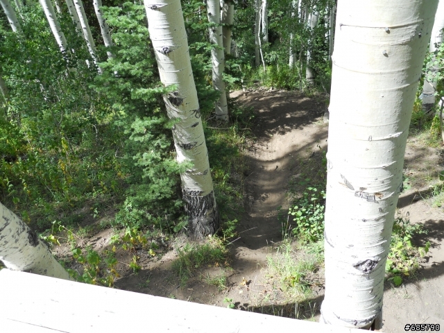 [分享] DH @ Dear valley, Utah、Bootleg canyon, Vegas & Canfieldbrothers