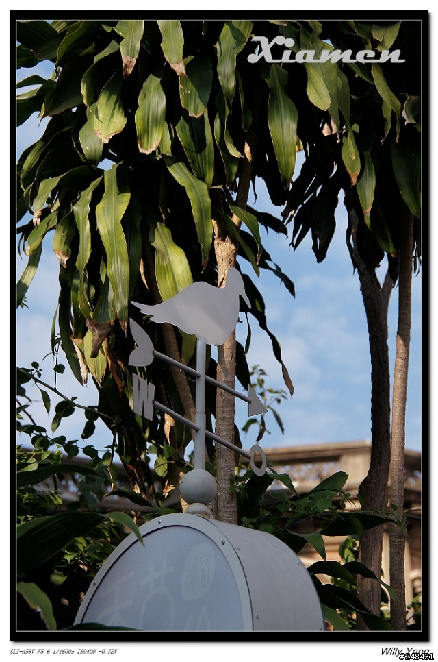 Sony DT 18-250 新增實拍照  於 1樓   A55 + Sony DT 18-250     250mm 端 這樣夠銳利了吧!??