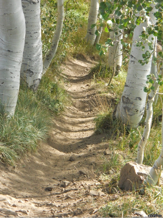 [分享] DH @ Dear valley, Utah、Bootleg canyon, Vegas & Canfieldbrothers