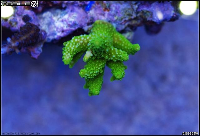 海水世界