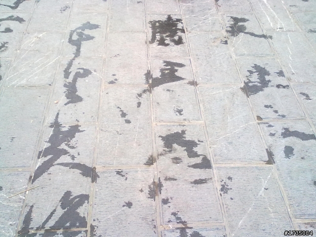 今天出去玩,看到一位老先生的書法,以及幾張正妹的圖