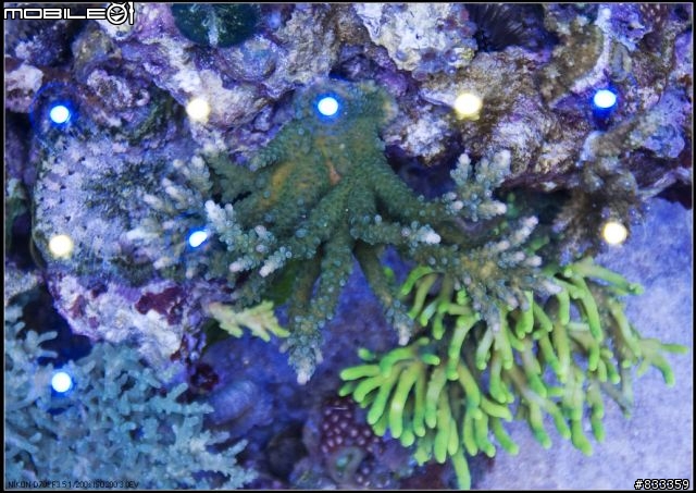 海水世界