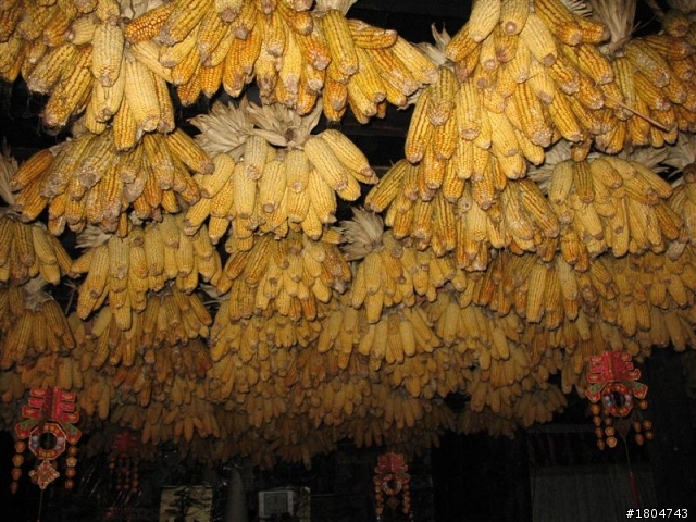 因壓力太強沖撞頭腦