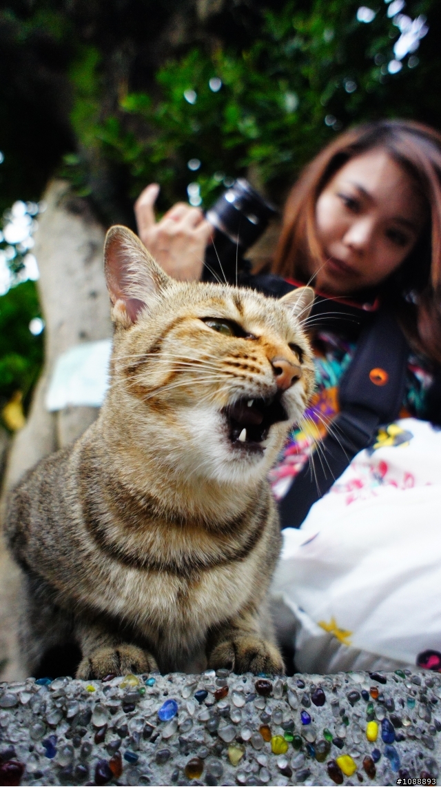 (分享)nex5定焦 猴硐 九份 試拍