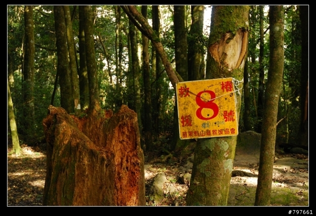南庄-鹿場部落-加里山