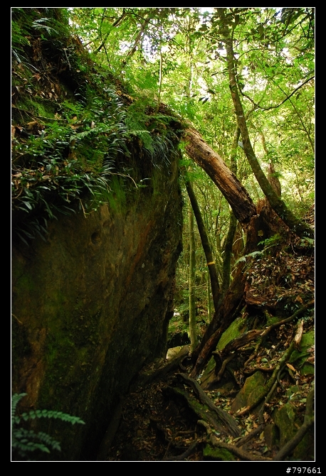 南庄-鹿場部落-加里山