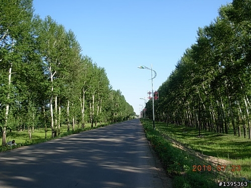 【2010神州之旅  】  北極村    TO   廈門