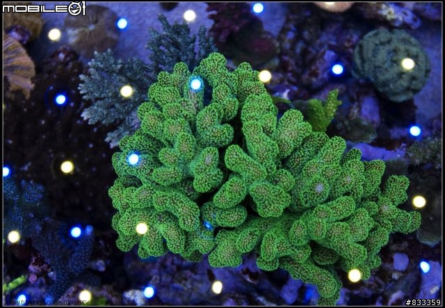 海水世界
