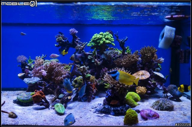 海水世界