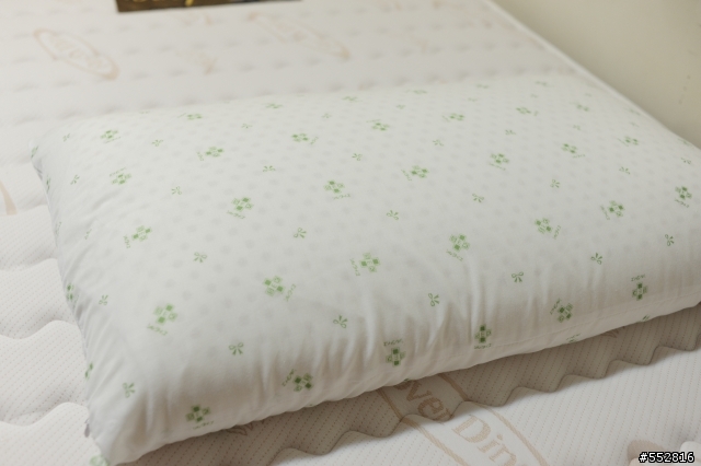 [分享]第一張天然乳膠床購買經驗