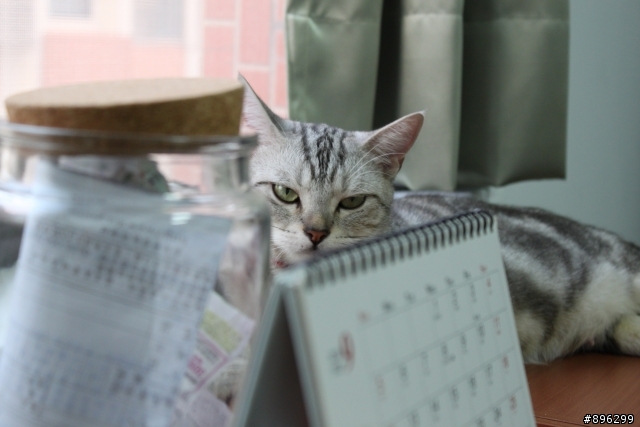 [分享] 母子情深之Miya與修修