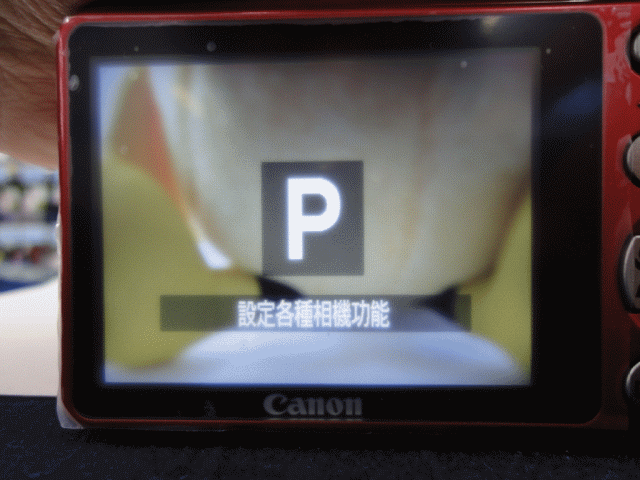 Canon PowerShot A3100 IS 火紅登場(開箱)
