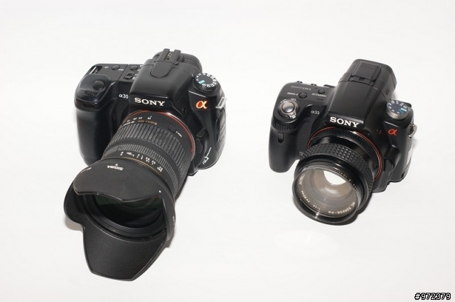 sony a33+Minolta超老鏡頭