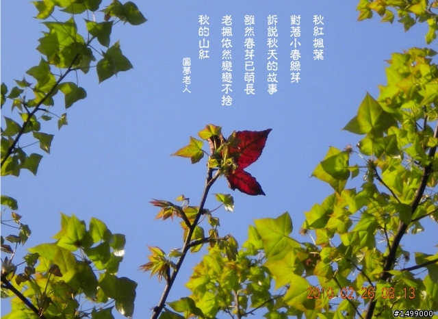 參加汐萬百客週年回顧