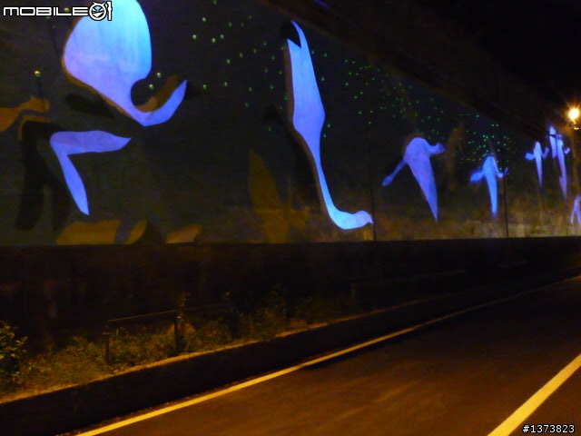 【分享】2010-10-10 單車夜騎+國慶煙火+花博夜景 親子同遊 一次搞定