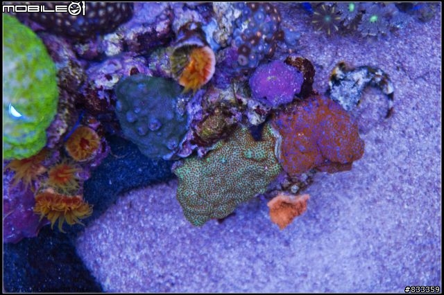 海水世界