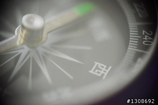 1+1=...?  Pentacon 50/1.8 + Helios M44-4 =惡搞亂拍
