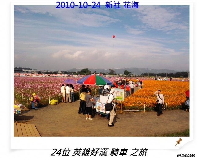 2010-10-24 旺仔與24位好漢 由彰化騎車至新社花海 之旅 全程 90公里 圖片